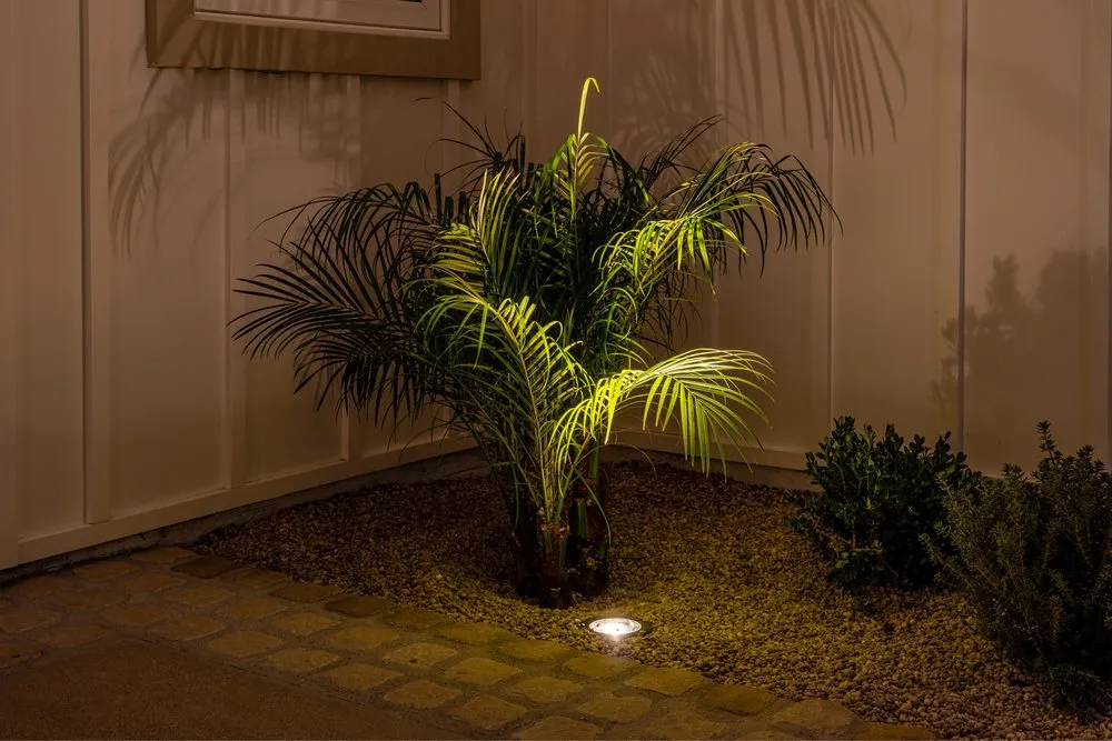 Affordable yard maintenance for beautiful yards across Corona, CA - Paramount Yards