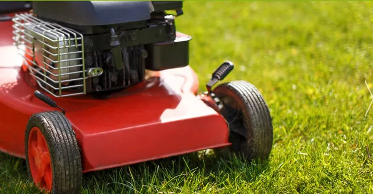 Professional landscape installation experts serving Pensacola, FL - Parazine Lawn & Exterior Maintenance