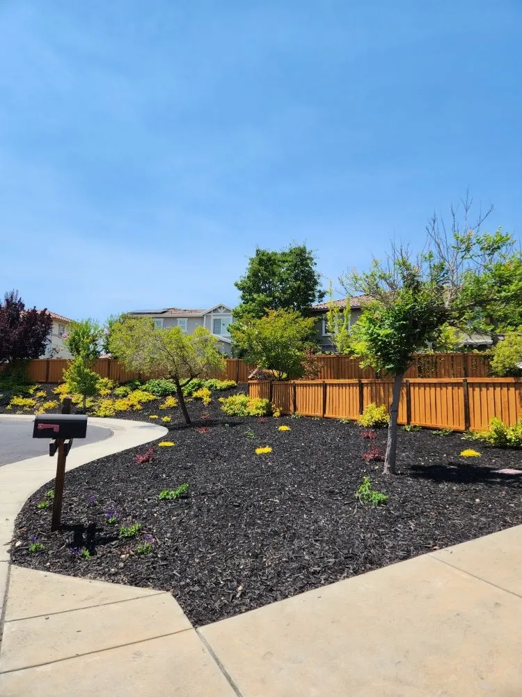 Affordable yard maintenance near you in Pittsburg, CA by Pardo Interior Solutions