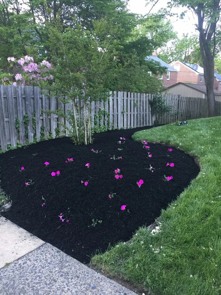 Reliable lawn mowing service in Secane, PA - Pardoe Landscaping