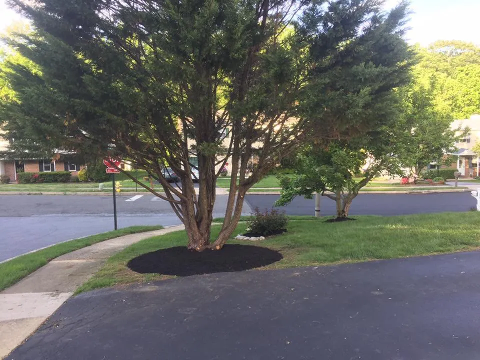 Trusted lawn care service experts serving Secane, PA - Pardoe Landscaping