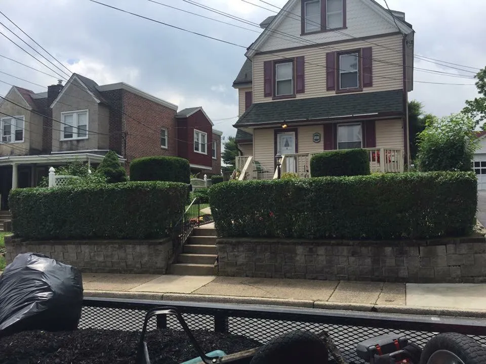 Reliable yard cleanup service with custom design in Secane, PA by Pardoe Landscaping