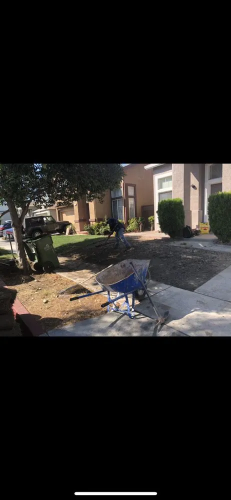 Local lawn care service in Los Altos, CA - Pardo's Landscape