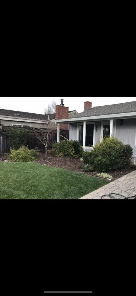 Local yard maintenance in Los Altos, CA - Pardo's Landscape