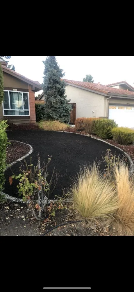 Top-rated outdoor landscaping experts serving Los Altos, CA - Pardo's Landscape