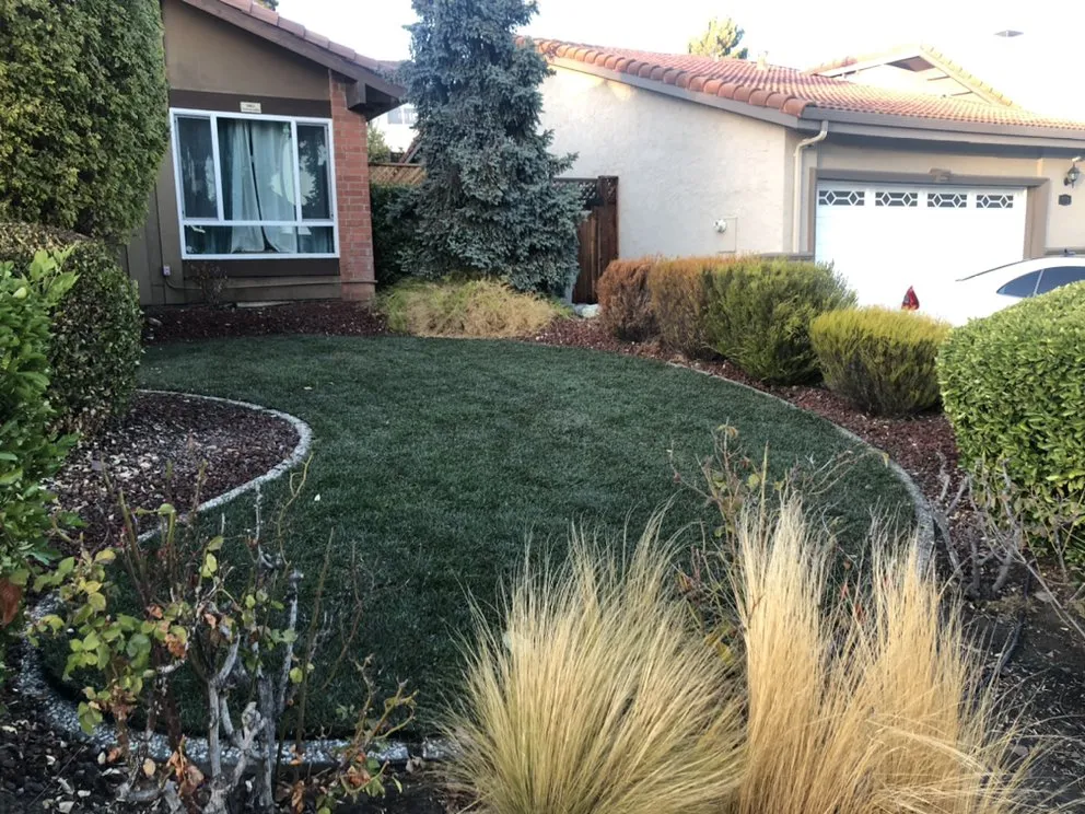 Affordable lawn mowing service with custom design in Los Altos, CA by Pardo's Landscape