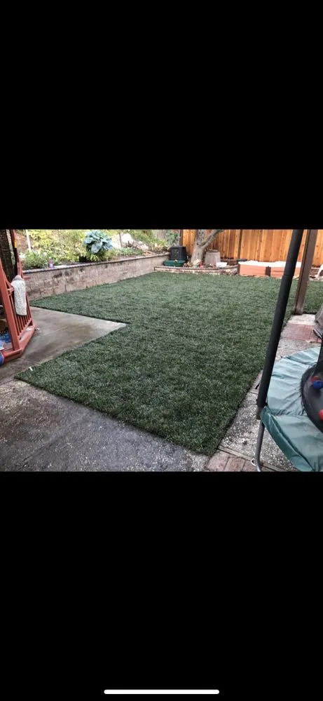 Trusted lawn mowing service for year-round maintenance in Los Altos, CA by Pardo's Landscape