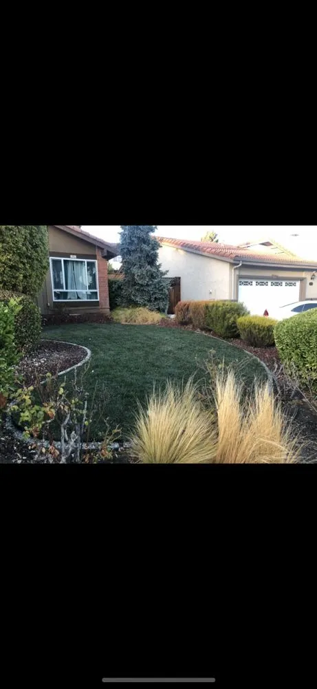 Top-rated lawn mowing service for residential properties in Los Altos, CA by Pardo's Landscape