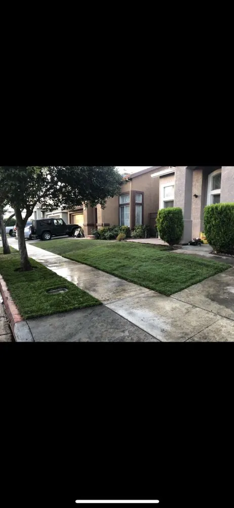Reliable lawn mowing service in Los Altos, CA - Pardo's Landscape