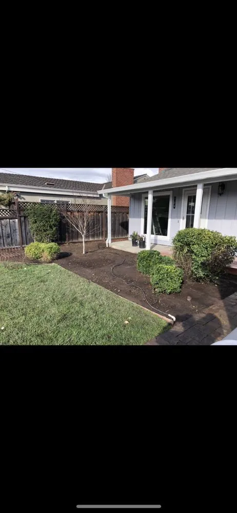 Affordable lawn care service in Los Altos, CA - Pardo's Landscape