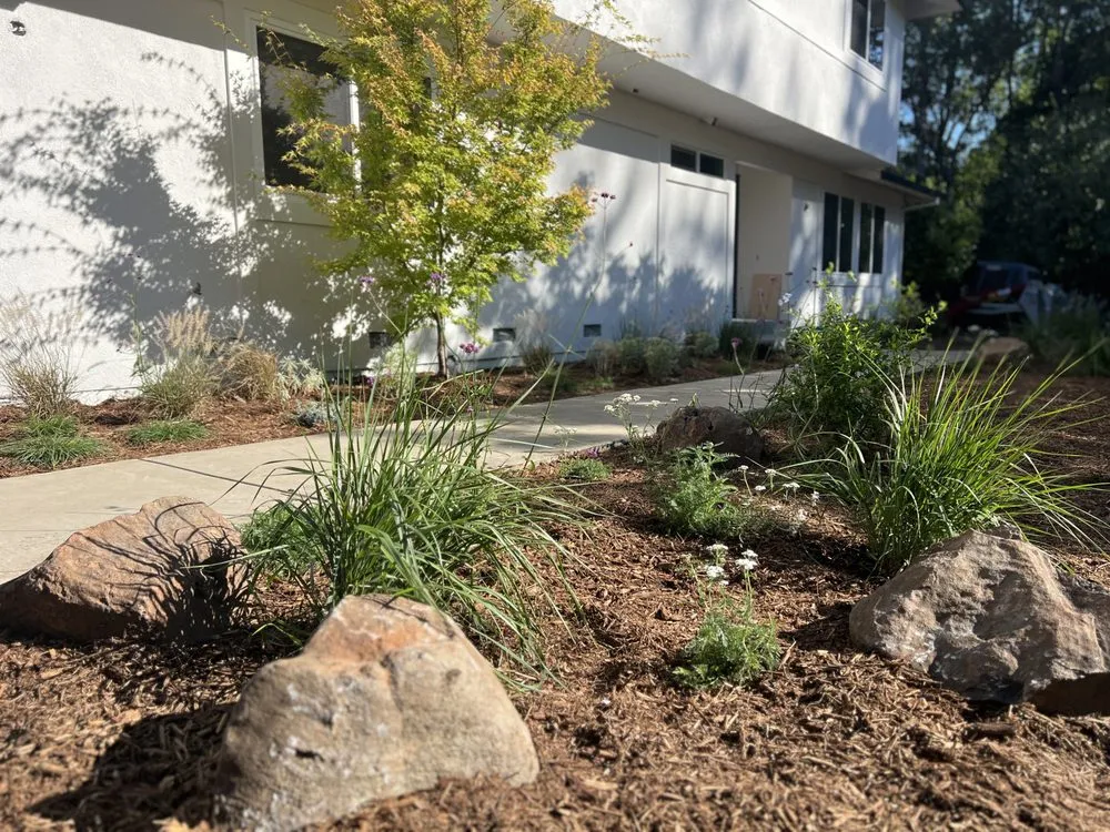 Custom landscaping services experts serving San Bruno, CA - Paredes Landscaping