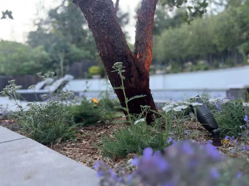 Reliable landscape installation in San Bruno, CA by Paredes Landscaping