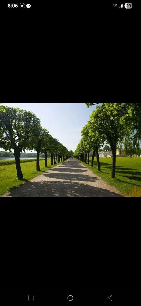 Custom residential landscaping for residential properties in Rowlett, TX by Paredes Tree Service