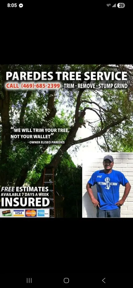 Expert yard maintenance experts serving Rowlett, TX - Paredes Tree Service