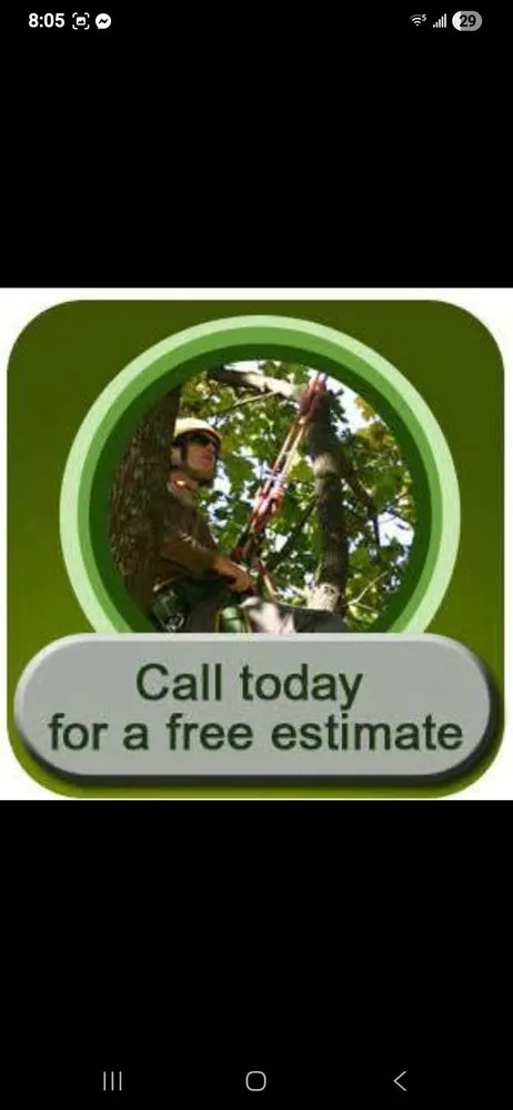 Reliable garden landscaping in Rowlett, TX - Paredes Tree Service
