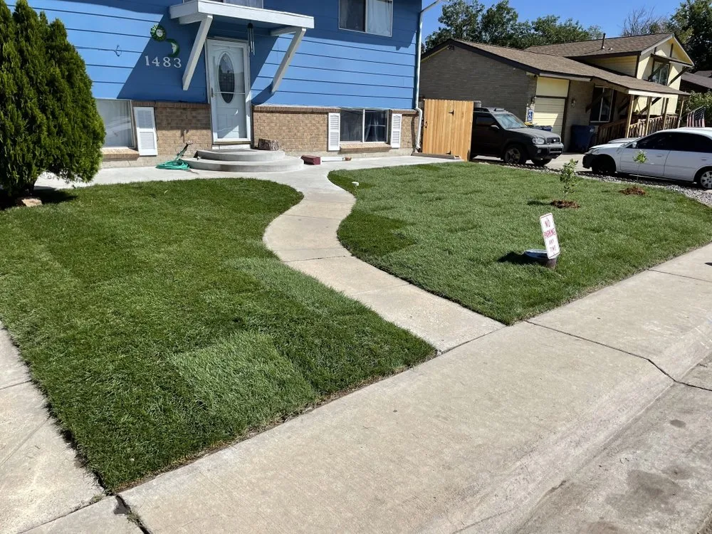 Custom lawn mowing service experts serving Westminster, CO - Parga Development & Maintenance Services