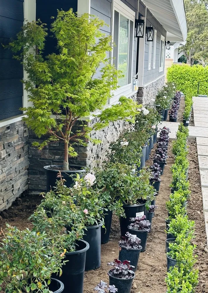 Expert garden landscaping experts serving Fullerton, CA - Parga Landscape & Trees