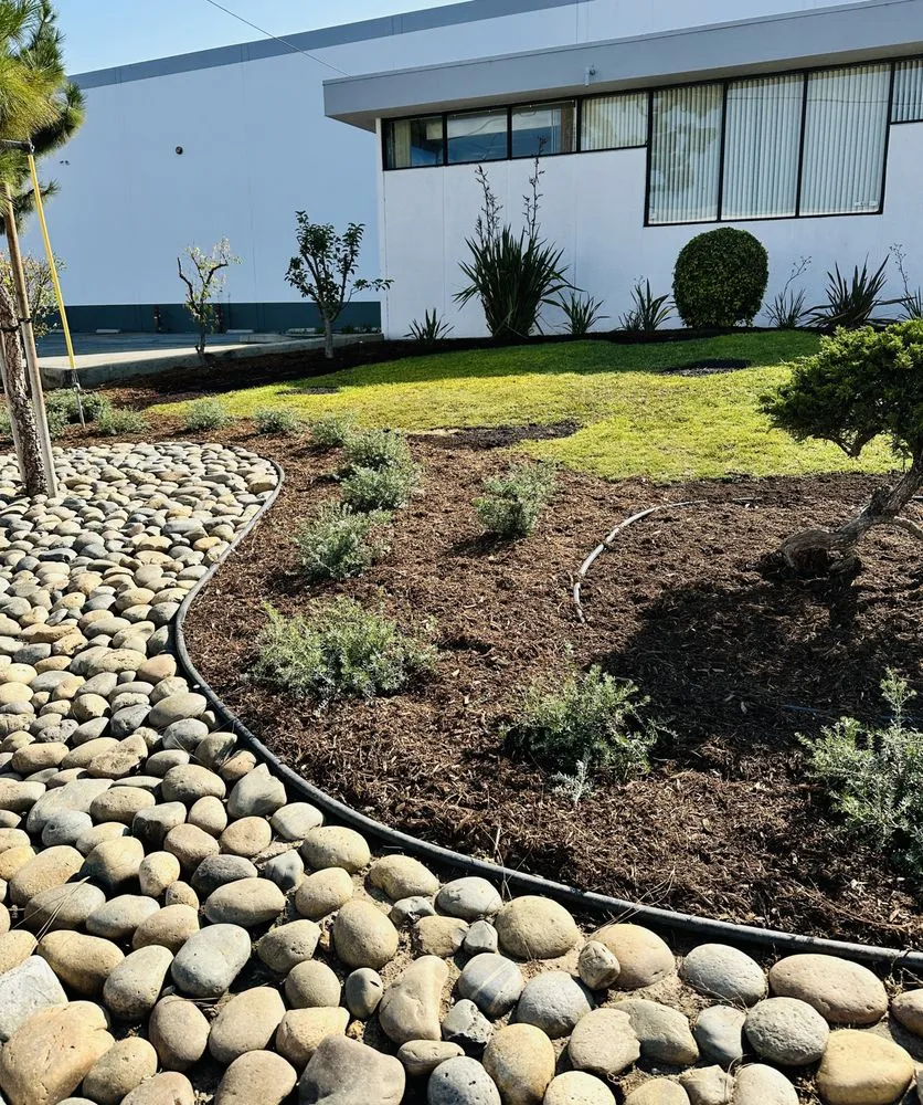 Local yard maintenance for year-round maintenance in Fullerton, CA by Parga Landscape & Trees