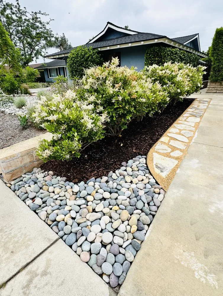 Local residential landscaping in Fullerton, CA by Parga Landscape & Trees