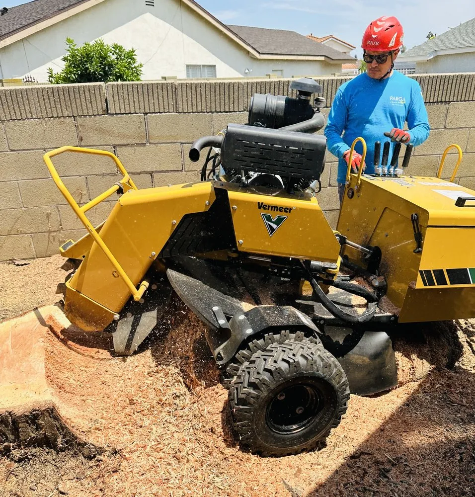 Affordable garden landscaping experts serving Fullerton, CA - Parga Landscape & Trees