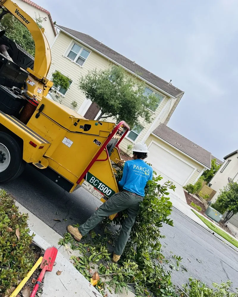 Local yard cleanup service near you in Fullerton, CA by Parga Landscape & Trees