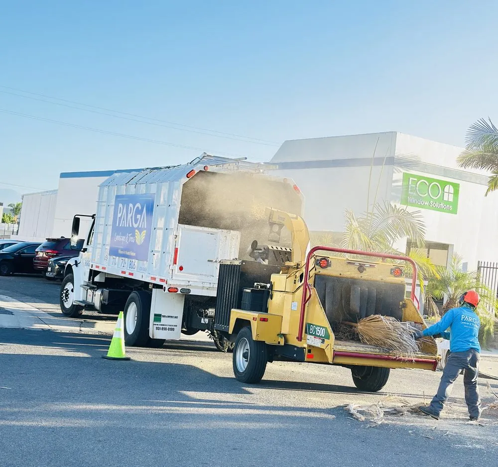 Reliable landscape design for outdoor upgrades across Fullerton, CA - Parga Landscape & Trees