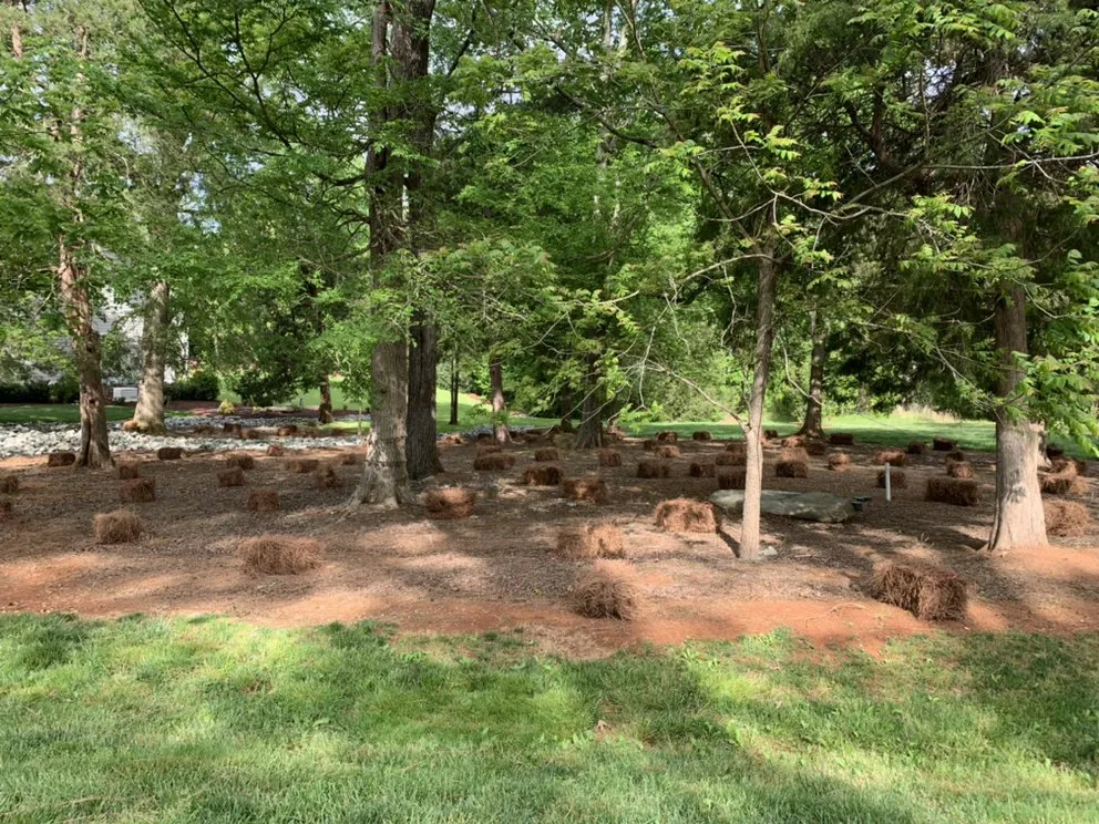 Professional lawn care service for residential properties across Timberlake, NC - Parham Maintenance