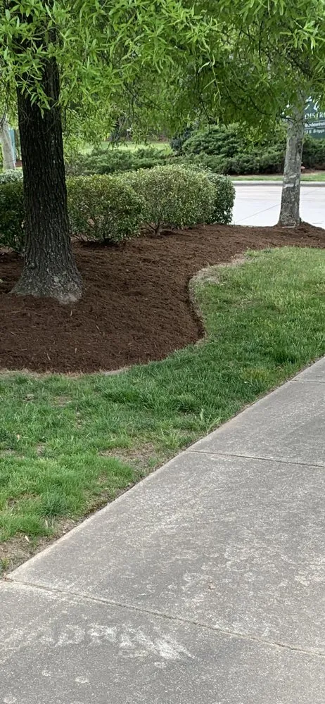 Top-rated yard cleanup service in Timberlake, NC - Parham Maintenance