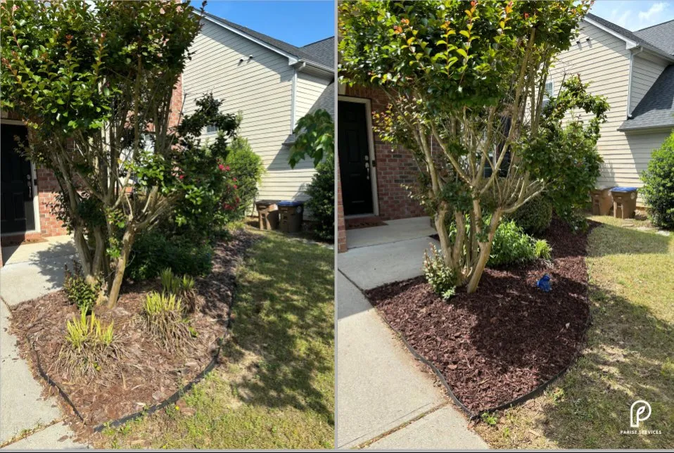 Expert lawn care service experts serving Wake Forest, NC - Parise Lawncare