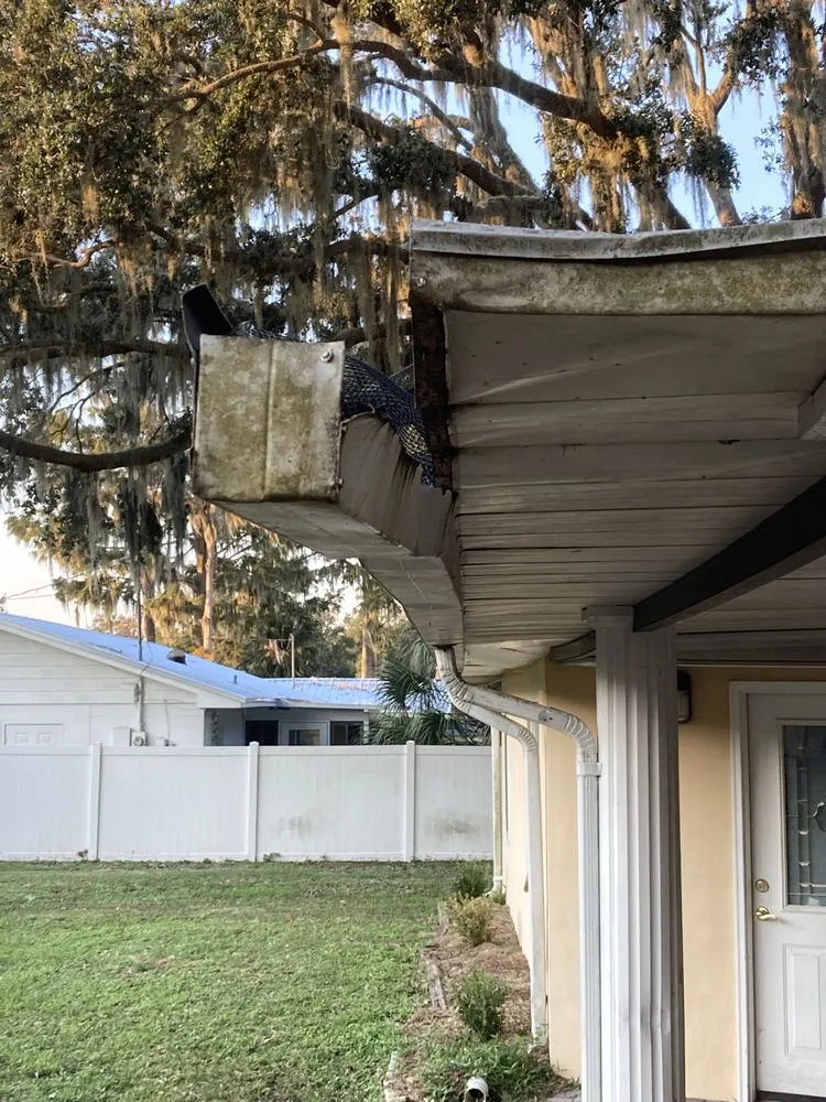 Local landscaping services experts serving Ocklawaha, FL - Parish Lawn & Tree