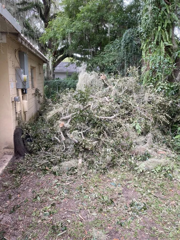 Top-rated lawn mowing service for homes in Ocklawaha, FL by Parish Lawn & Tree