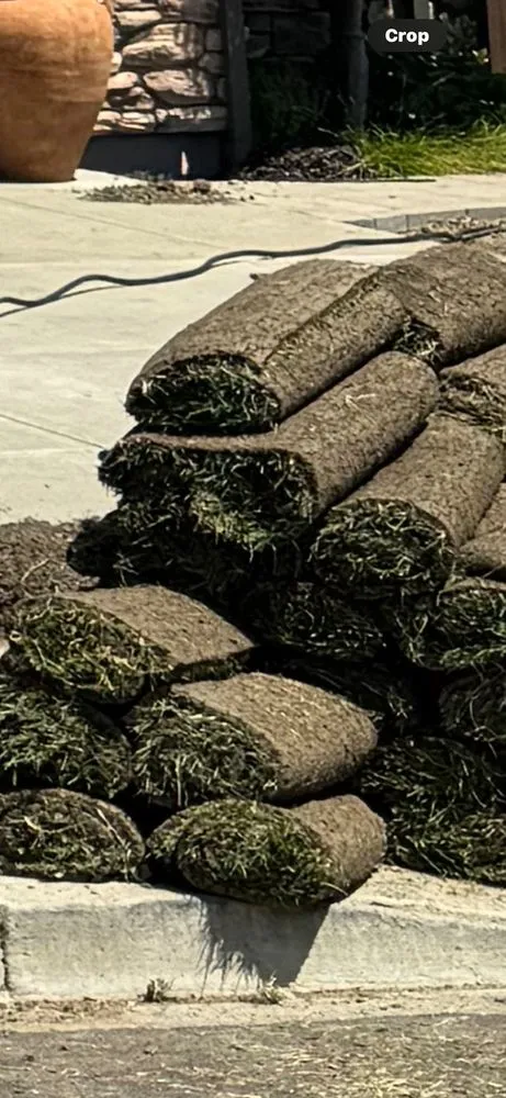 Reliable outdoor landscaping in Dixon, CA - Park Avenue Turf