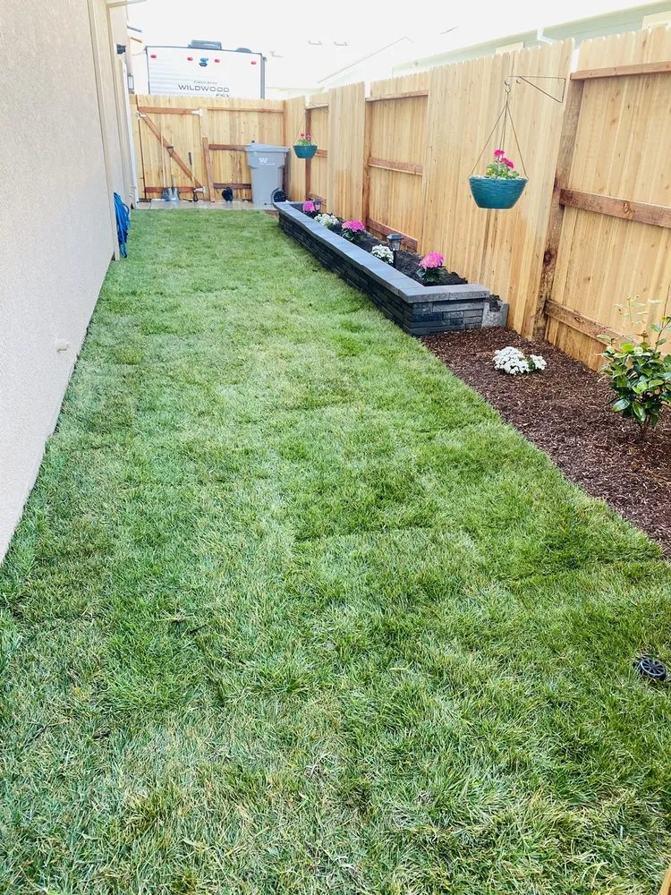 Reliable landscape design for homes in Dixon, CA by Park Avenue Turf