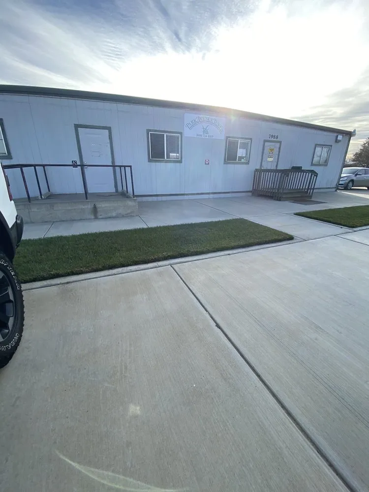 Expert lawn mowing service in Dixon, CA - Park Avenue Turf