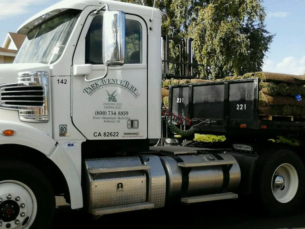 Affordable landscaping services for year-round maintenance in Dixon, CA by Park Avenue Turf