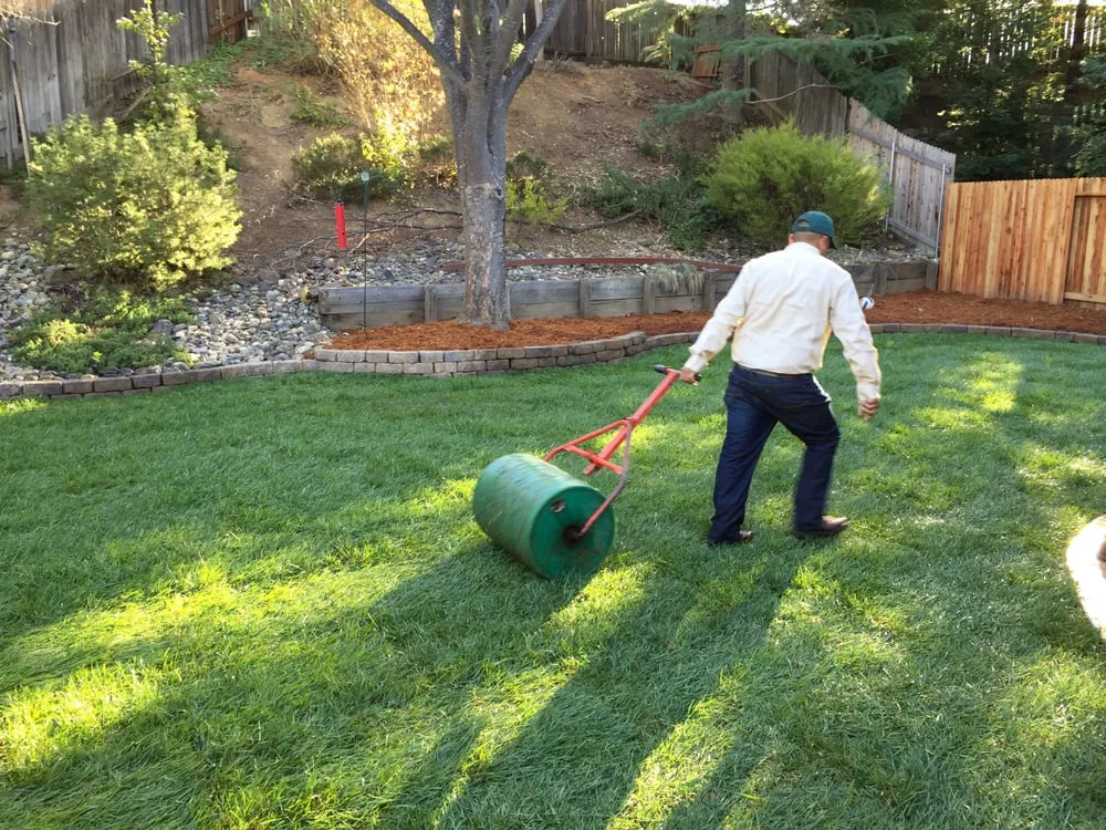 Trusted yard maintenance near you across Sebastopol, CA - Park Avenue Turf