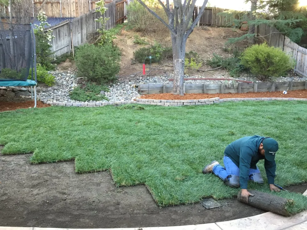 Professional landscape design in Sebastopol, CA by Park Avenue Turf
