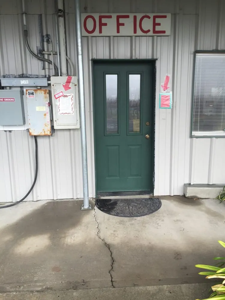 Trusted yard maintenance in Sebastopol, CA by Park Avenue Turf