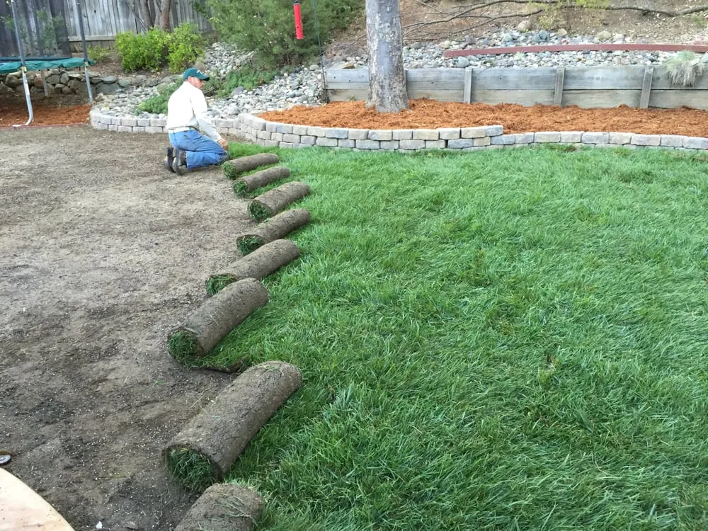 Affordable outdoor landscaping in Sebastopol, CA by Park Avenue Turf
