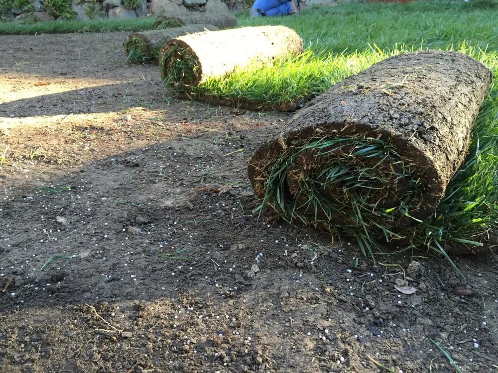 Top-rated yard maintenance for homes across Sebastopol, CA - Park Avenue Turf