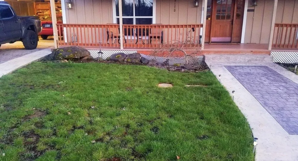 Top-rated garden landscaping for year-round maintenance across Dallas, PA - Park Bros Landscaping