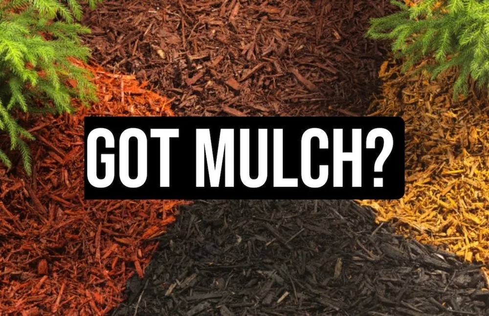 Top-rated landscaping services in Dallas, PA by Park Bros Landscaping