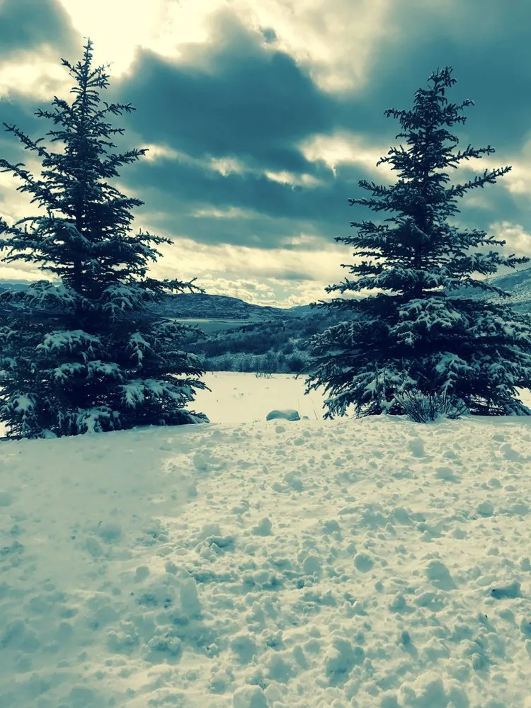 Professional landscape installation in Park City, UT - Park City Concierge Services