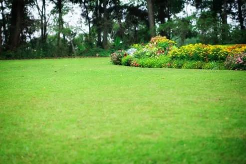 Local residential landscaping in Park City, UT - Park City Landscaping