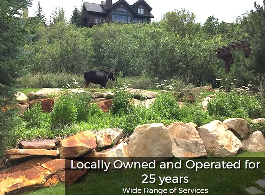 Professional landscape installation in Park City, UT by Park City Lawn Care