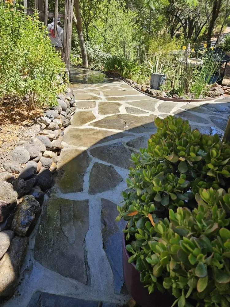 Affordable outdoor landscaping in Sebastopol, CA by Park Landscape Maintenance