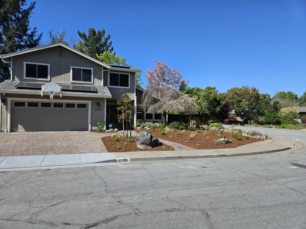 Affordable yard maintenance experts serving Sebastopol, CA - Park Landscape Maintenance