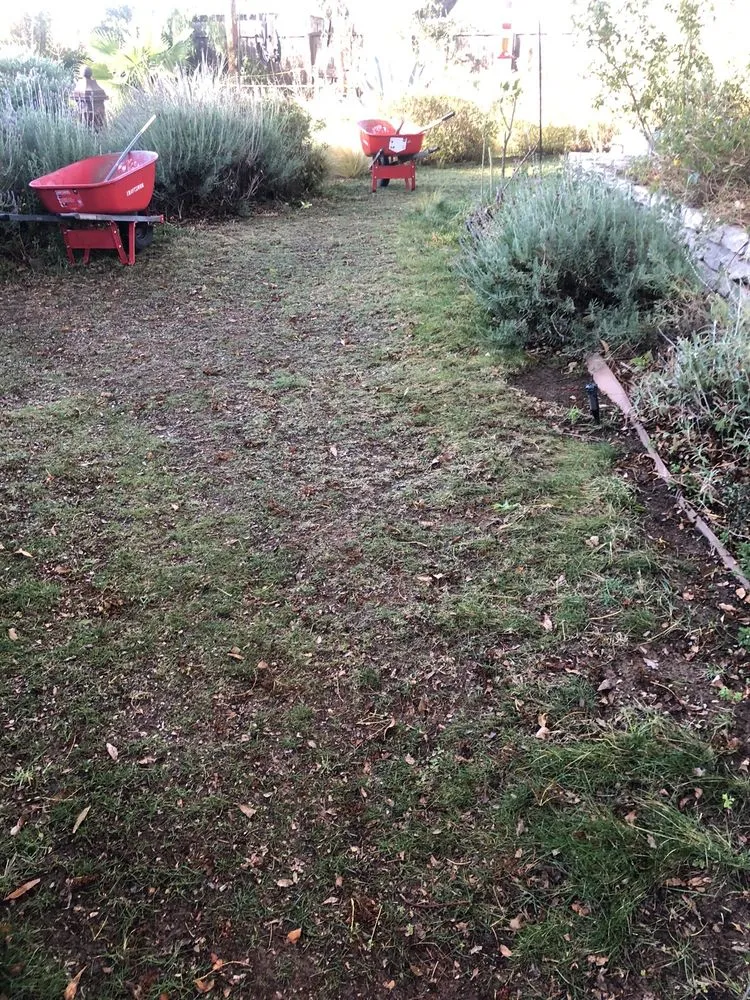 Professional landscape installation in Thousand Oaks, CA by Park Oaks Turf And Landscaping