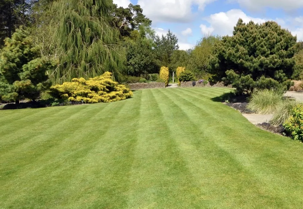Expert lawn mowing service for outdoor upgrades in Ortonville, MI by Park Place Lawn Care