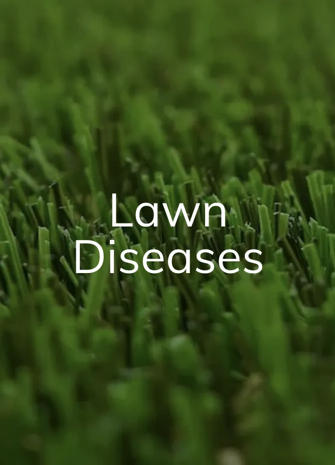 Top-rated outdoor landscaping in Ortonville, MI - Park Place Lawn Care